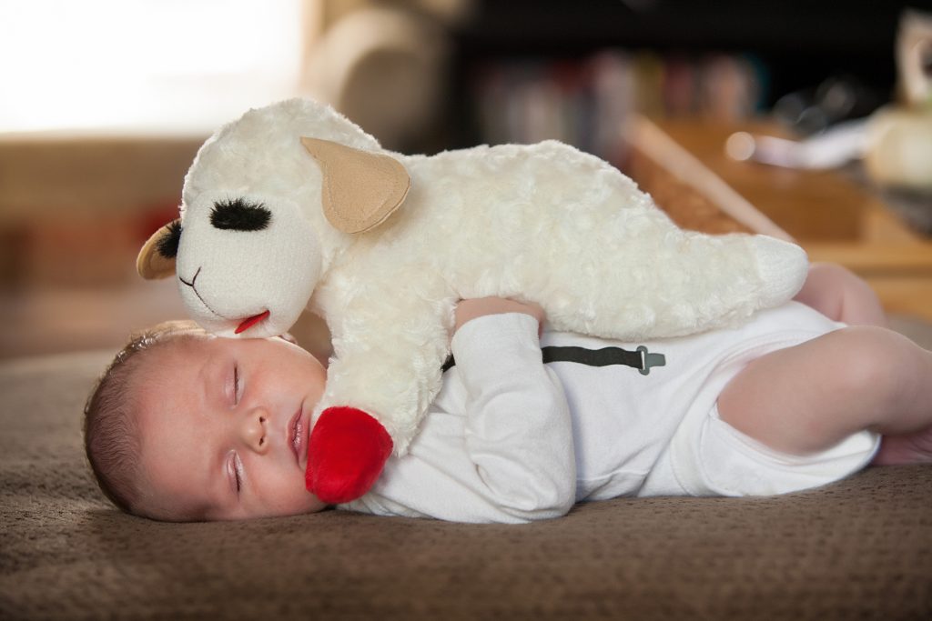 Baby photos with sheep toy