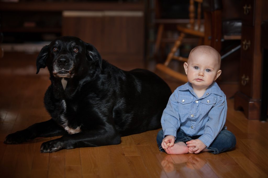 Pets Photography in Guelph