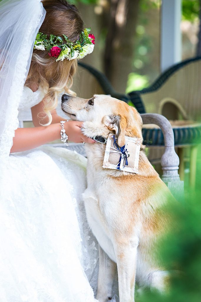 Bride with dog as a ring bearer