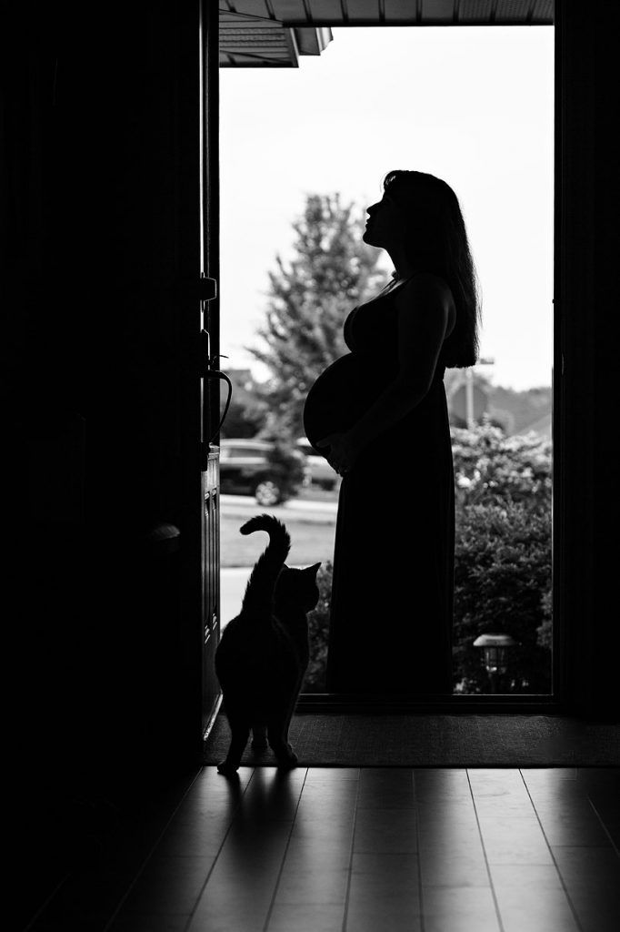 Cat on a maternity session