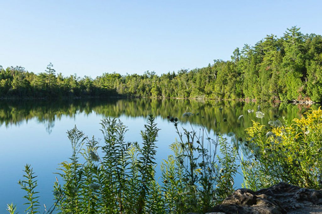 Crawford Lake Conservation Area photos